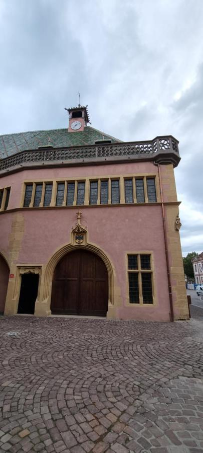 Appartement Grenier A Sel Gentleman Colmar Exterior foto